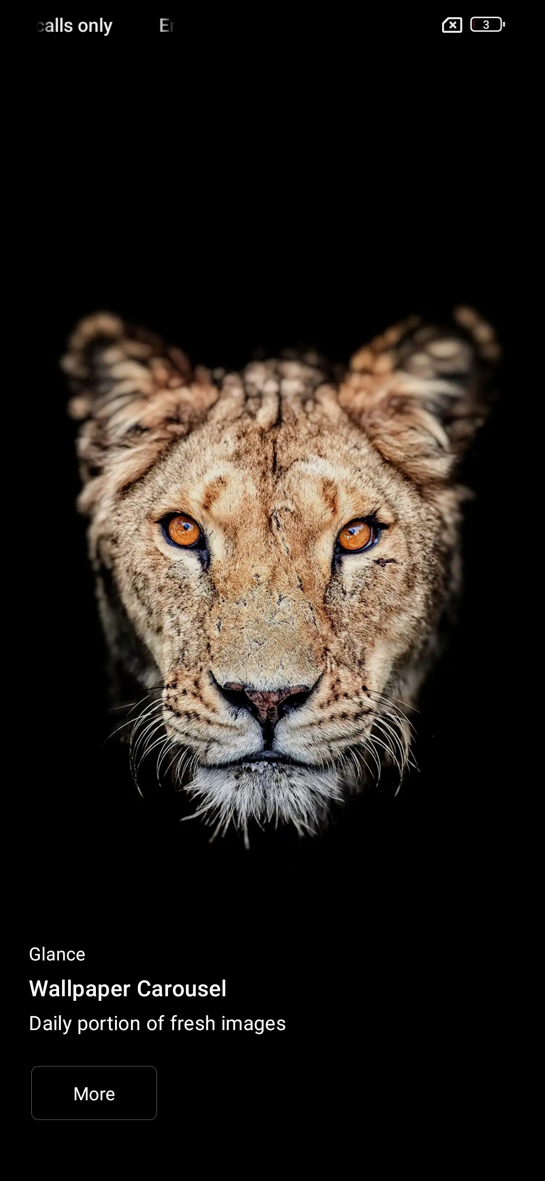mentor-img