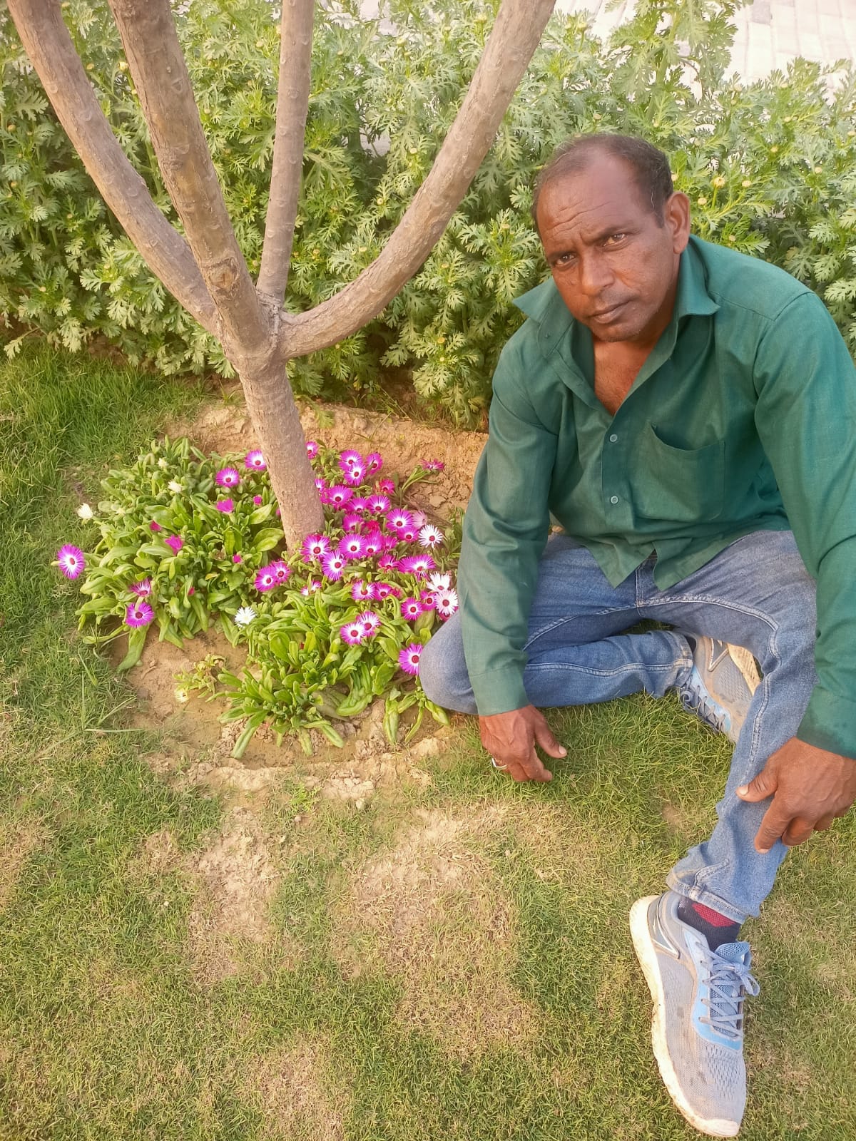 mentor-img