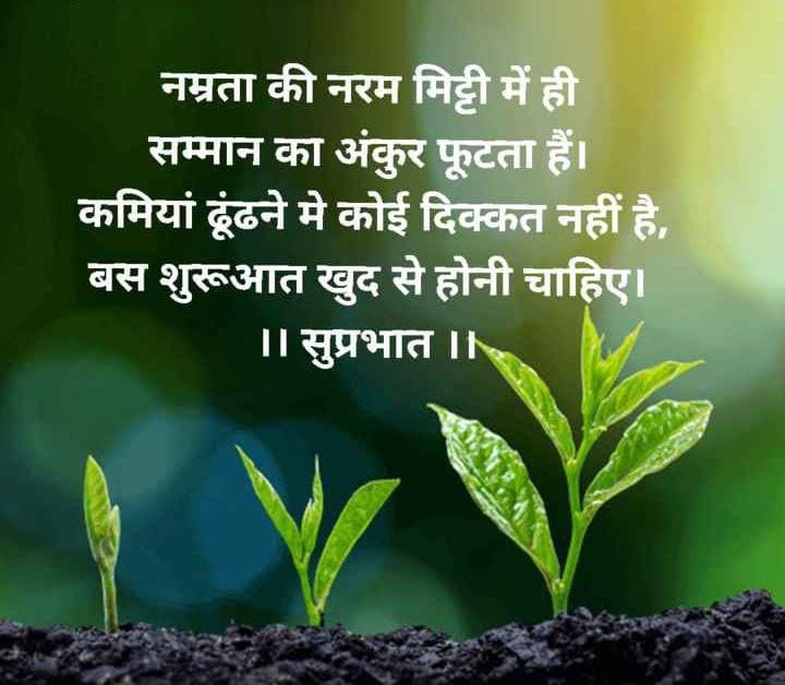 mentor-img