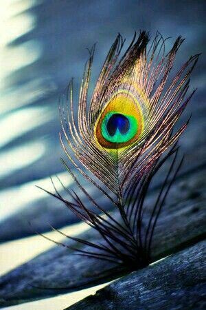 category-img