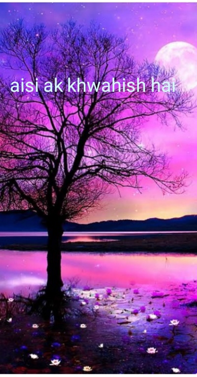 category-img