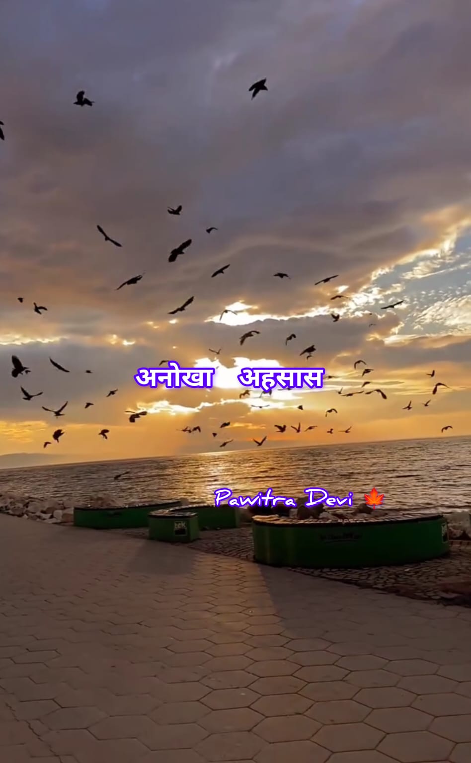 category-img