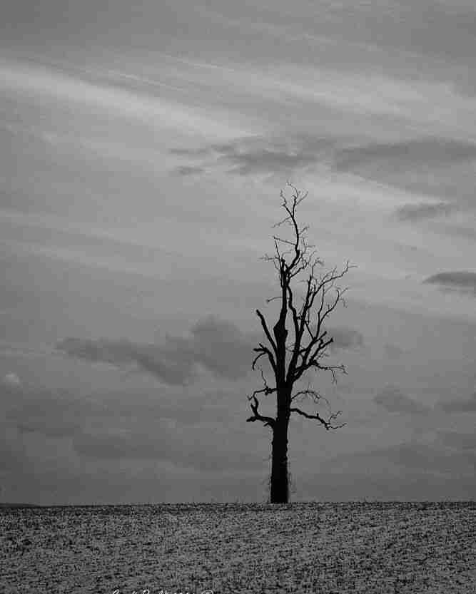 category-img