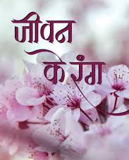 category-img