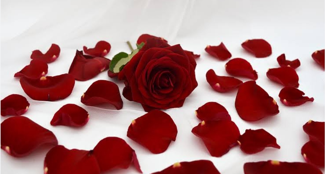 category-img
