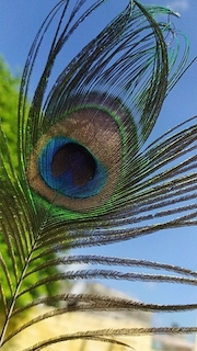 category-img