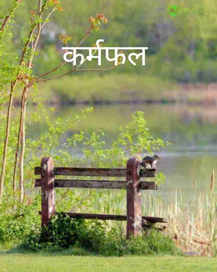 category-img